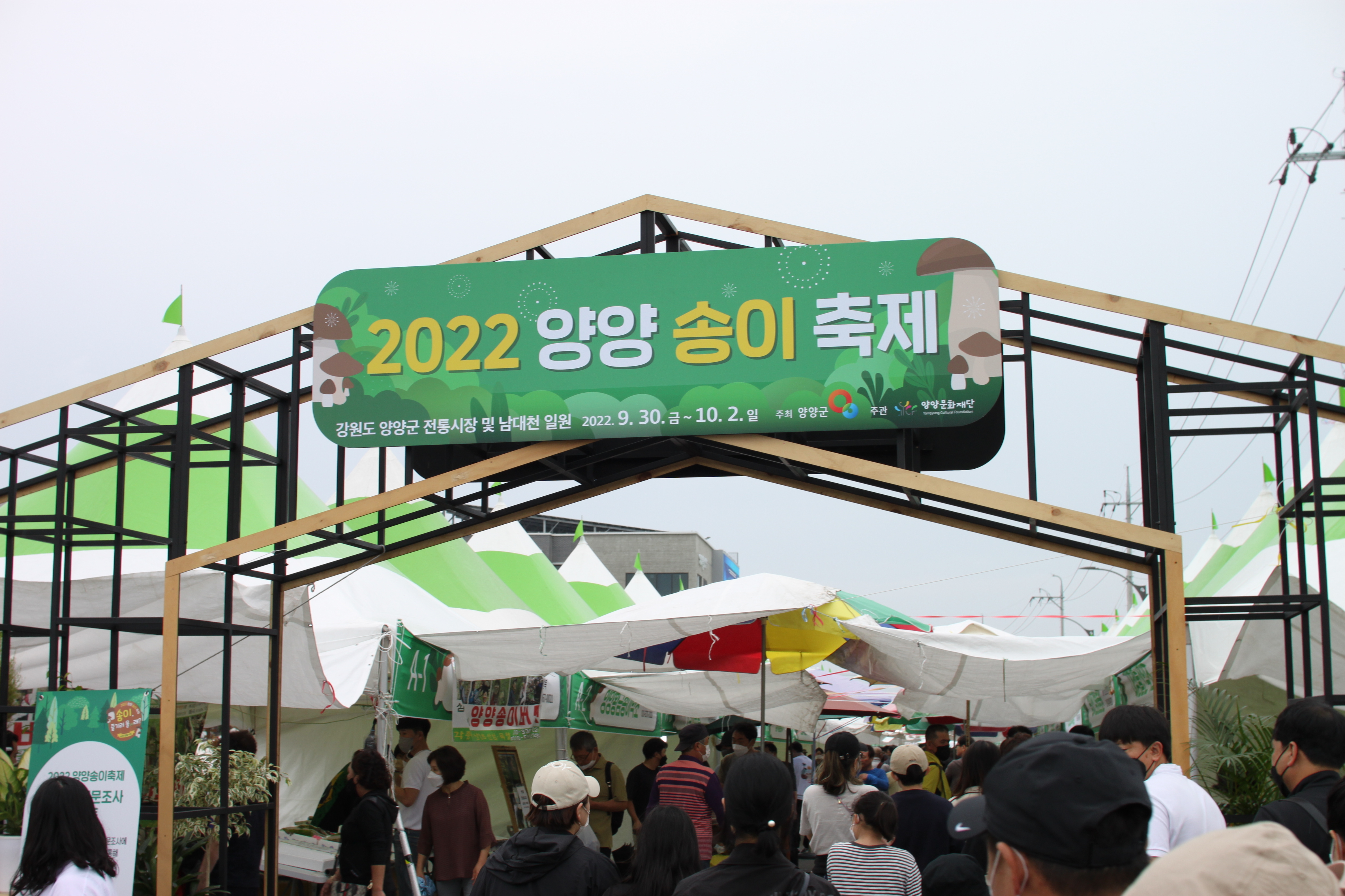송이투어 이미지