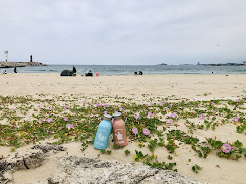 고성식당 이미지