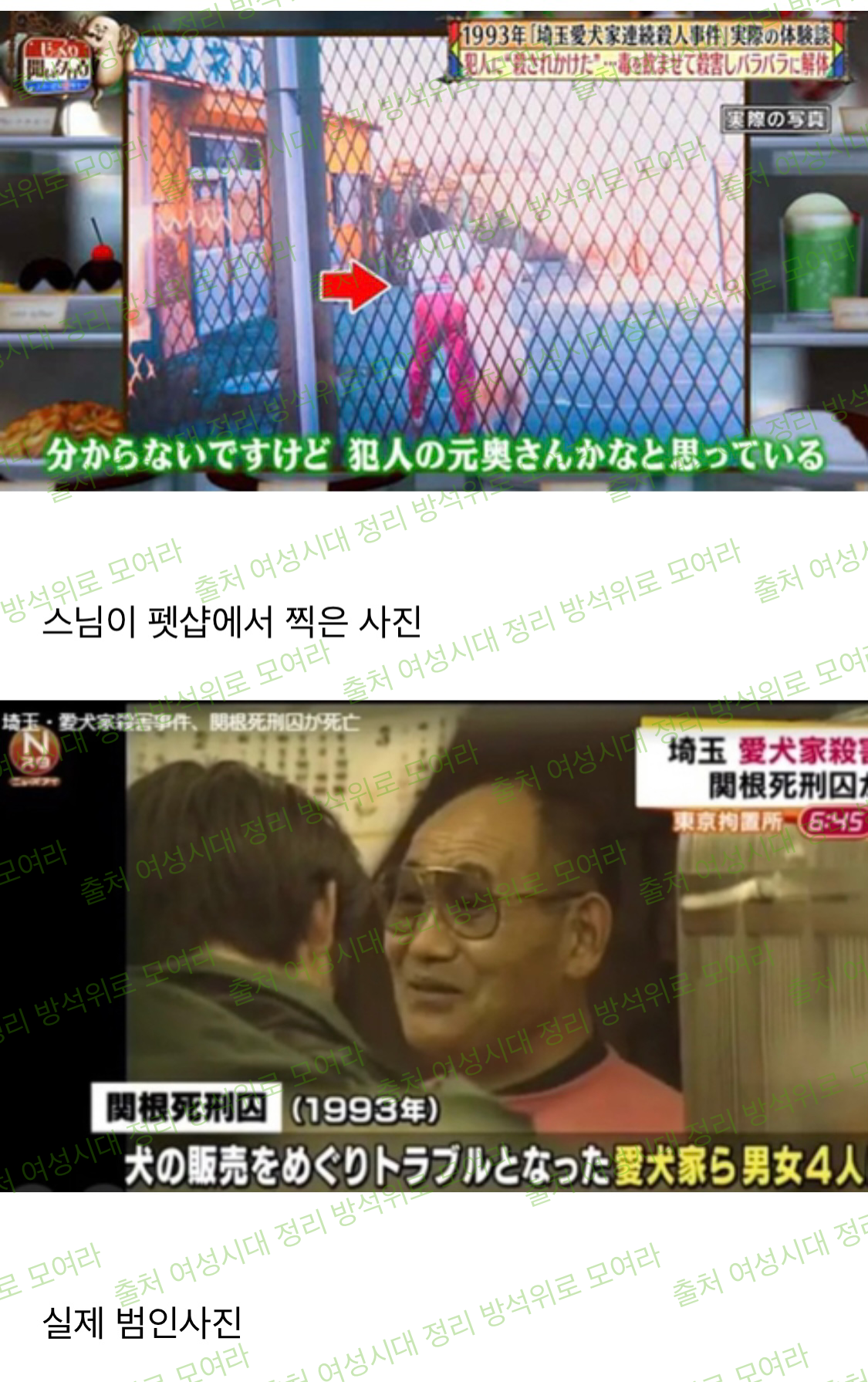 진짜 신이 있는 게 아닐까? 한 일본 스님의 이야기 (실화기반 조금 무서울 수 있음 주의 진짜 흥미로움) | 인스티즈