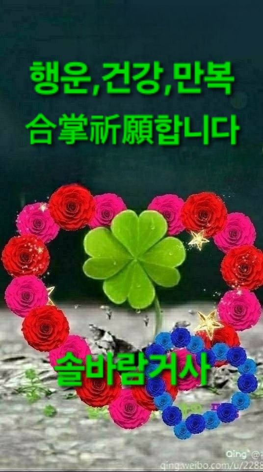 고우니 이미지