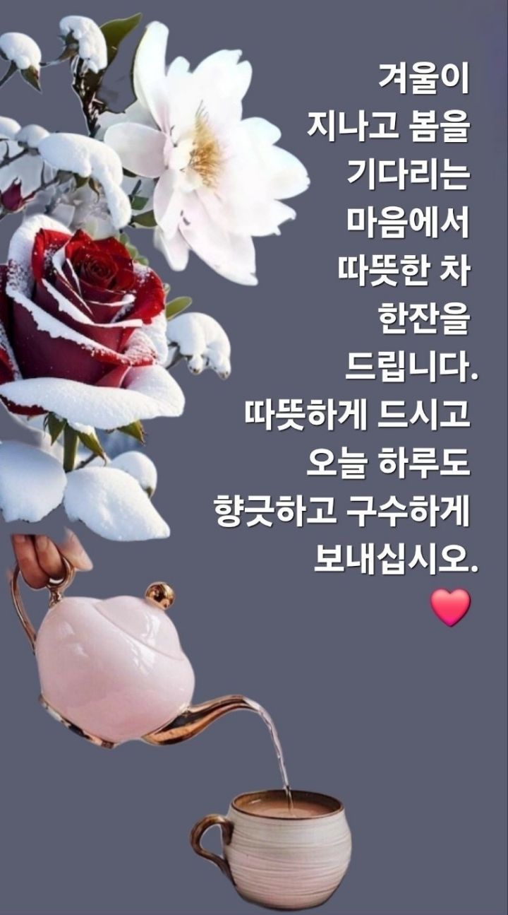 고우니 이미지