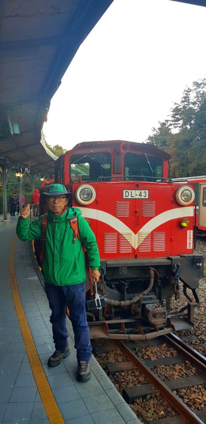 아리산 이미지