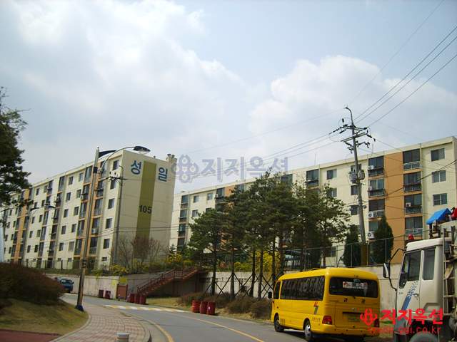 Daum카페