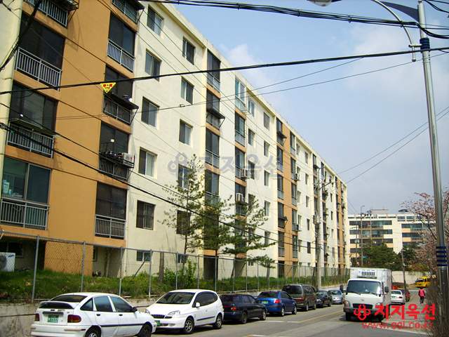 Daum카페