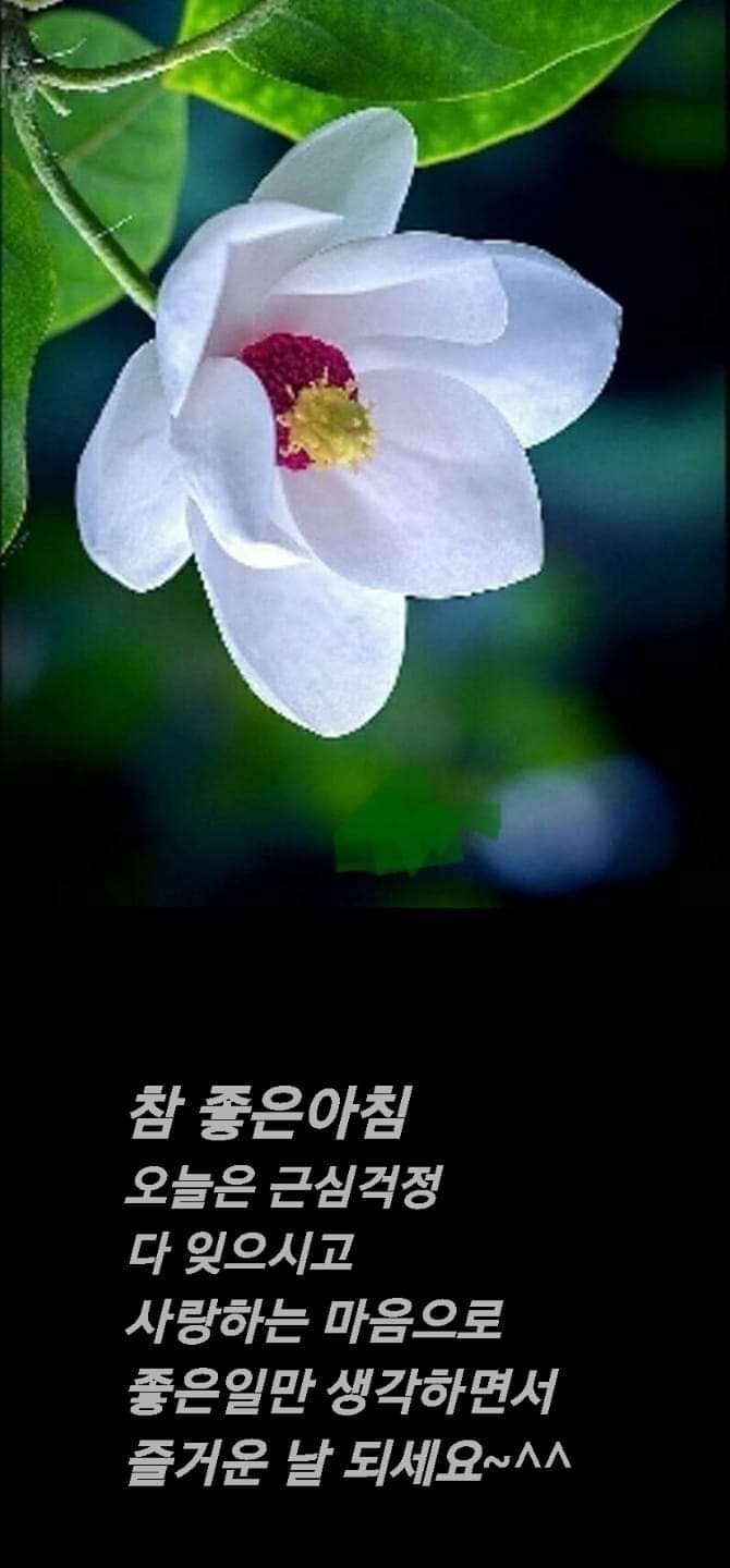 1프로 이미지