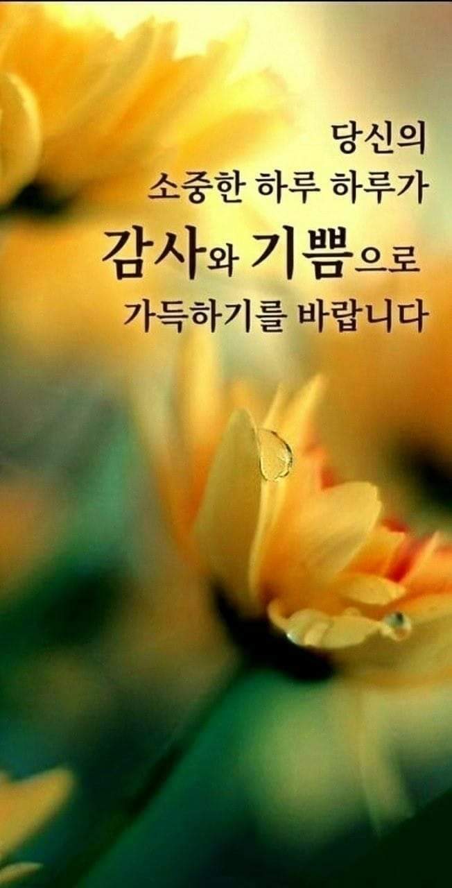 감사합니다~💚 - •―··감동 좋은글 - 대한민국♡조원진