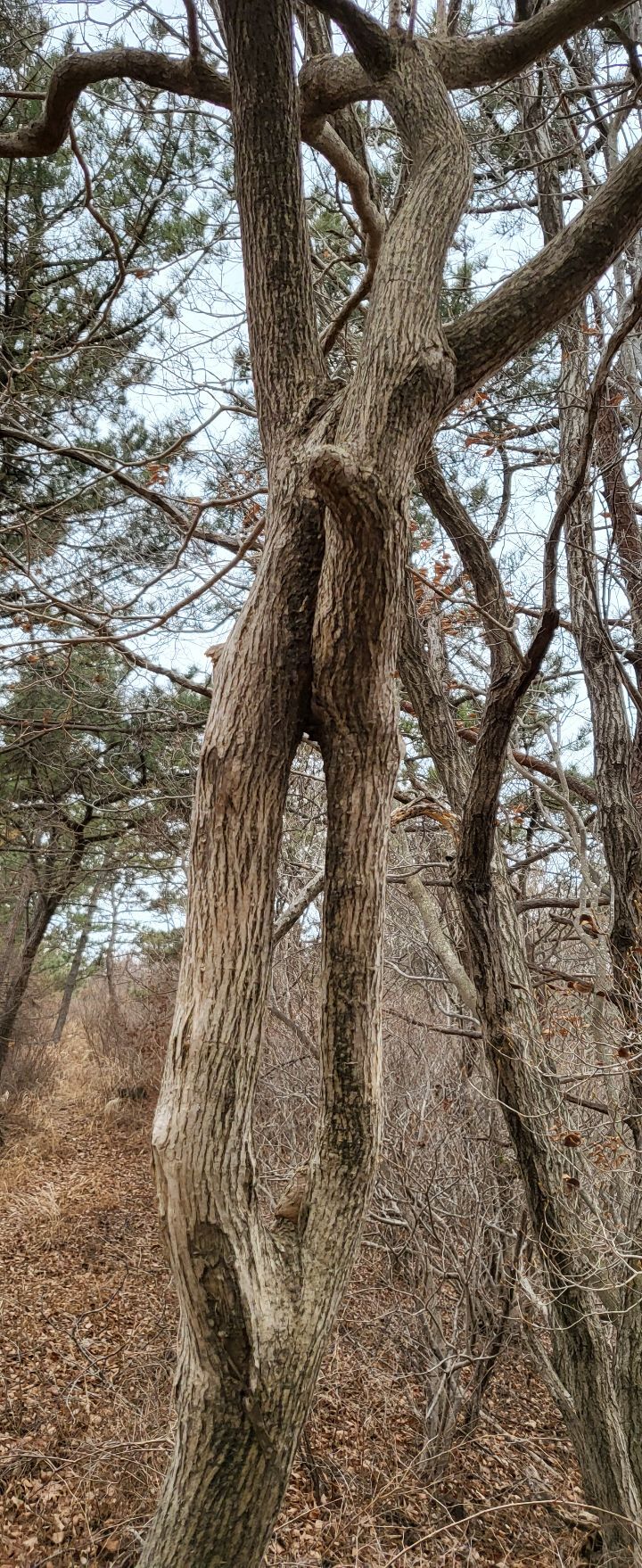 임도조망점 이미지