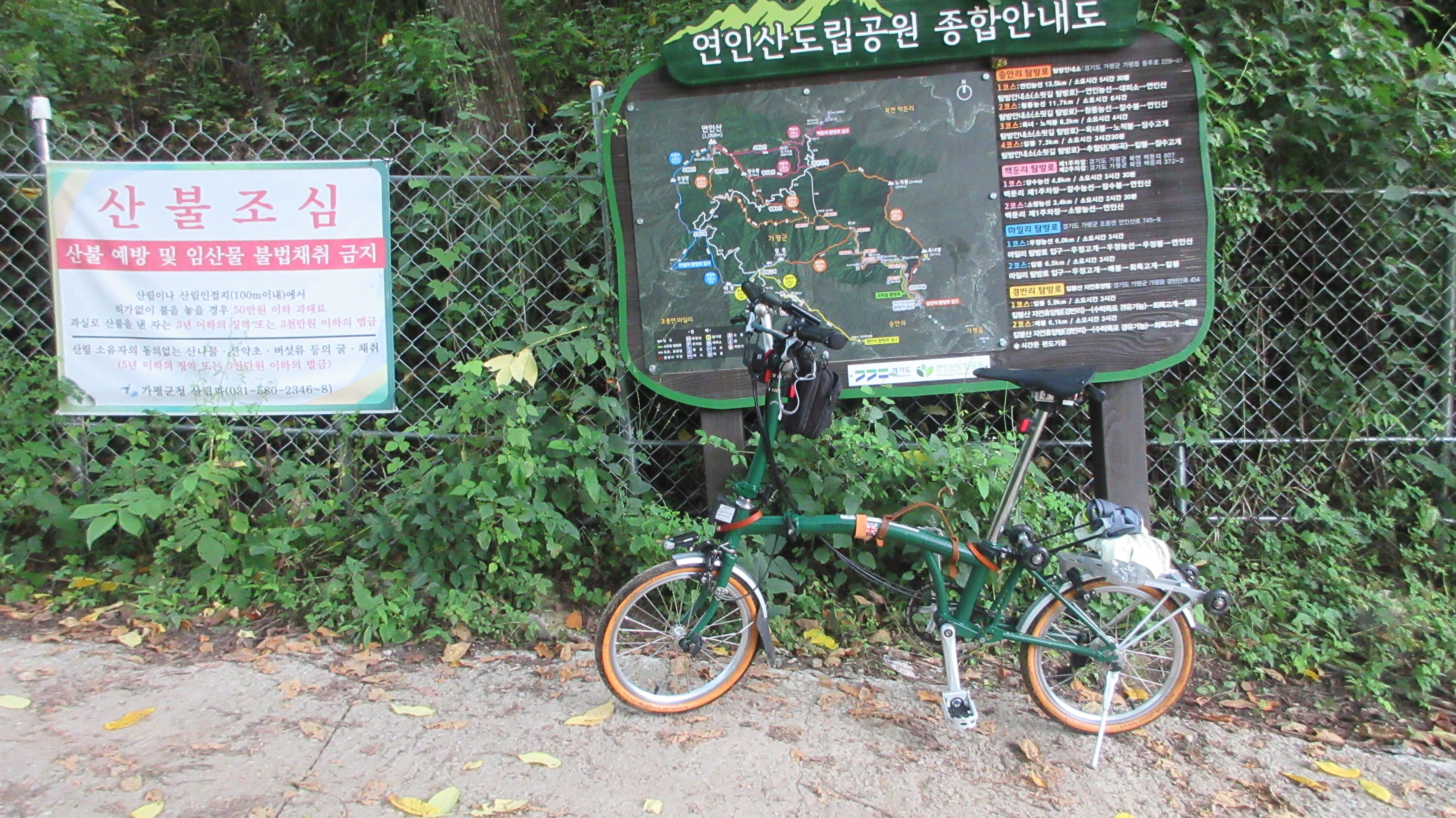 브롬핑 이미지