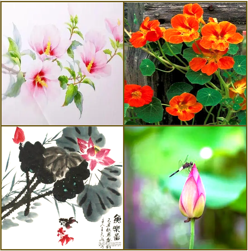 부효사 이미지
