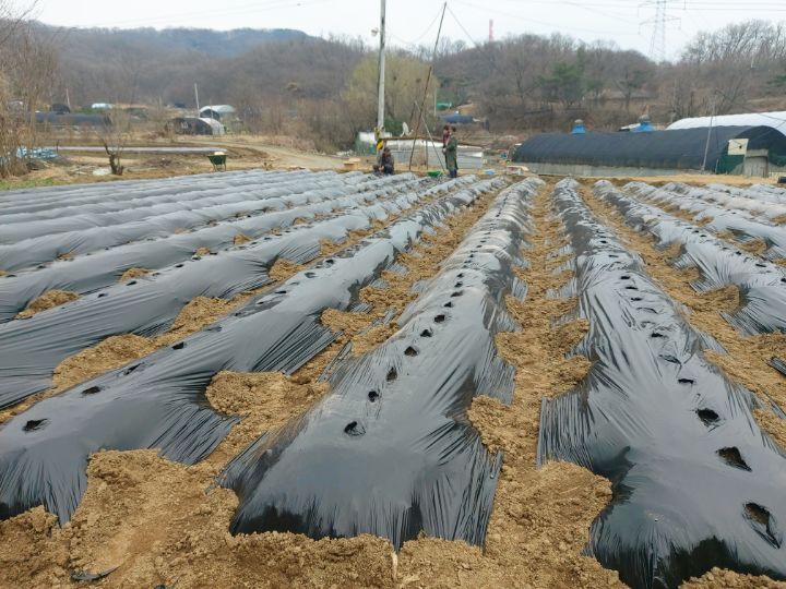 샘터농장 이미지