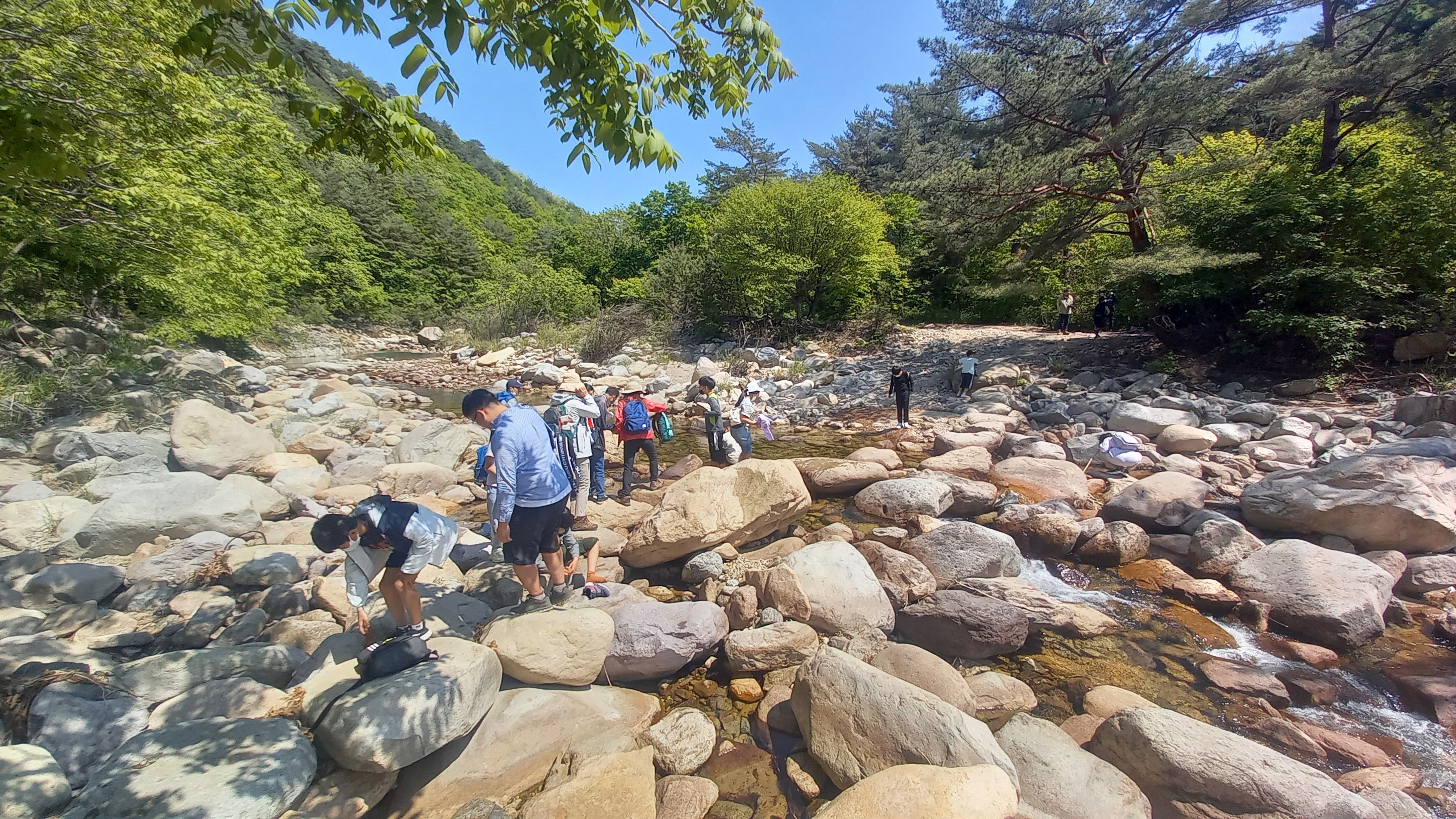 용대초등학교 이미지