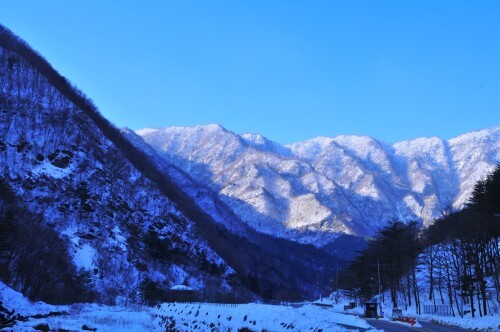 (주)태백산 이미지