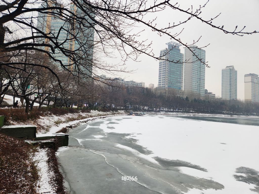 더갤러리 이미지