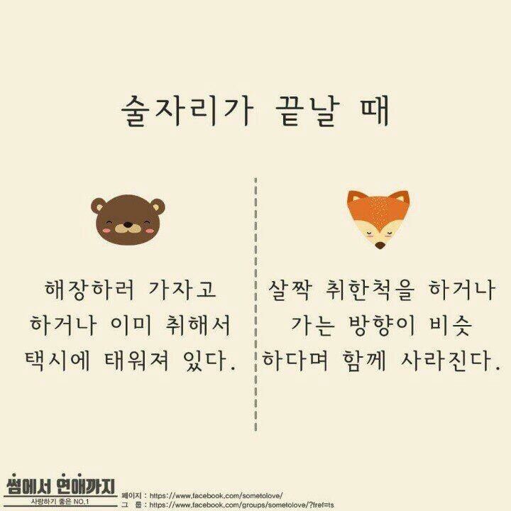 곰과여우 이미지
