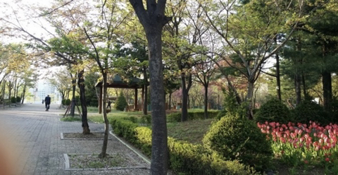 당구치기좋은날 이미지