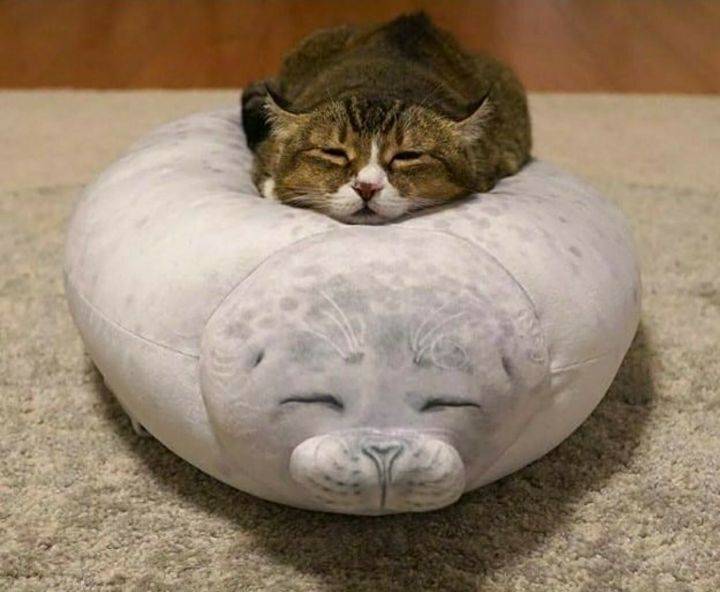 넌 이미지