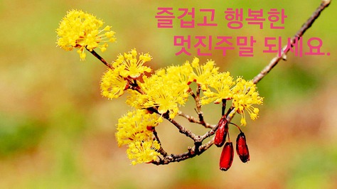 또하나의친구 이미지