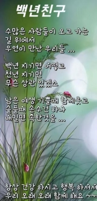 예쁜하루 이미지