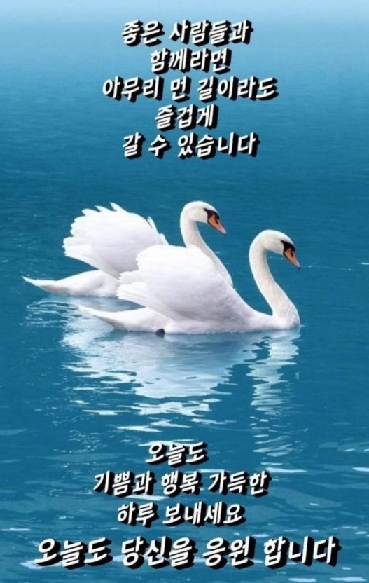 꽃향기풀내음 이미지
