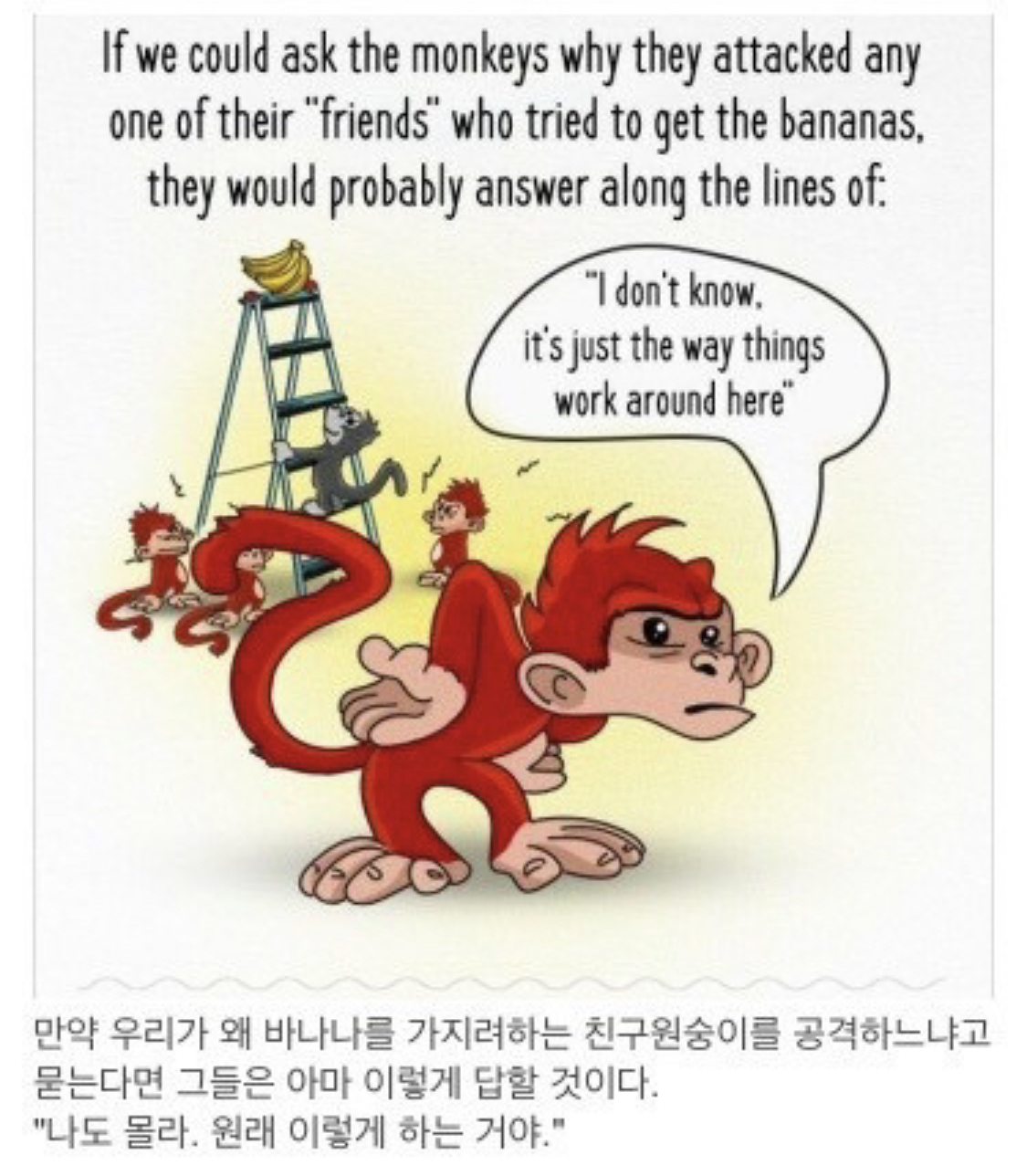 사회적 금기가 유지되는 과정.jpg | 인스티즈