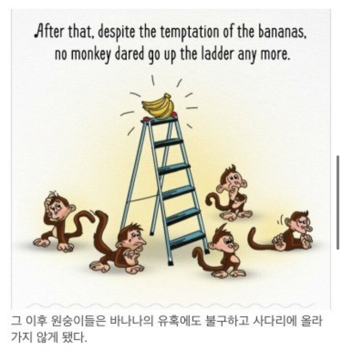 사회적 금기가 유지되는 과정.jpg | 인스티즈