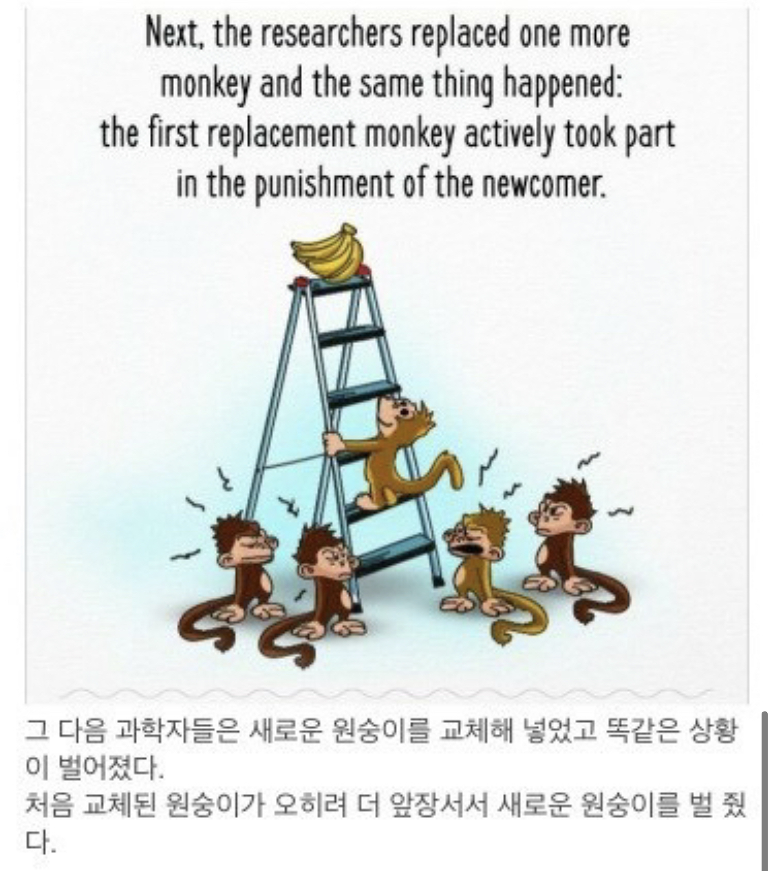 사회적 금기가 유지되는 과정.jpg | 인스티즈