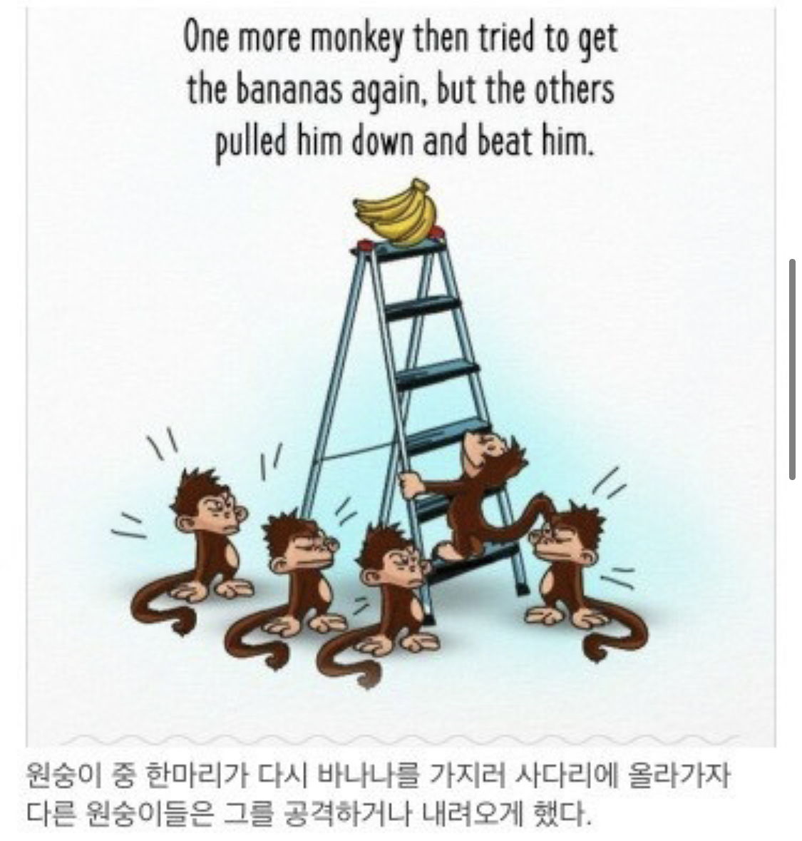 사회적 금기가 유지되는 과정.jpg | 인스티즈