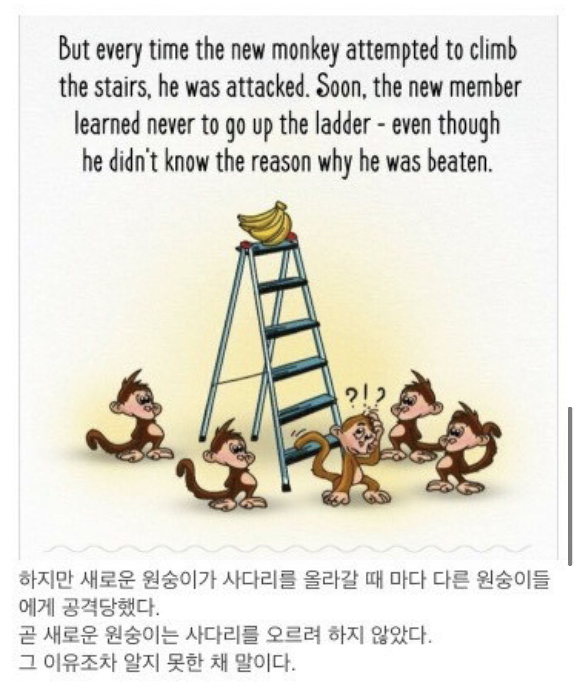 사회적 금기가 유지되는 과정.jpg | 인스티즈