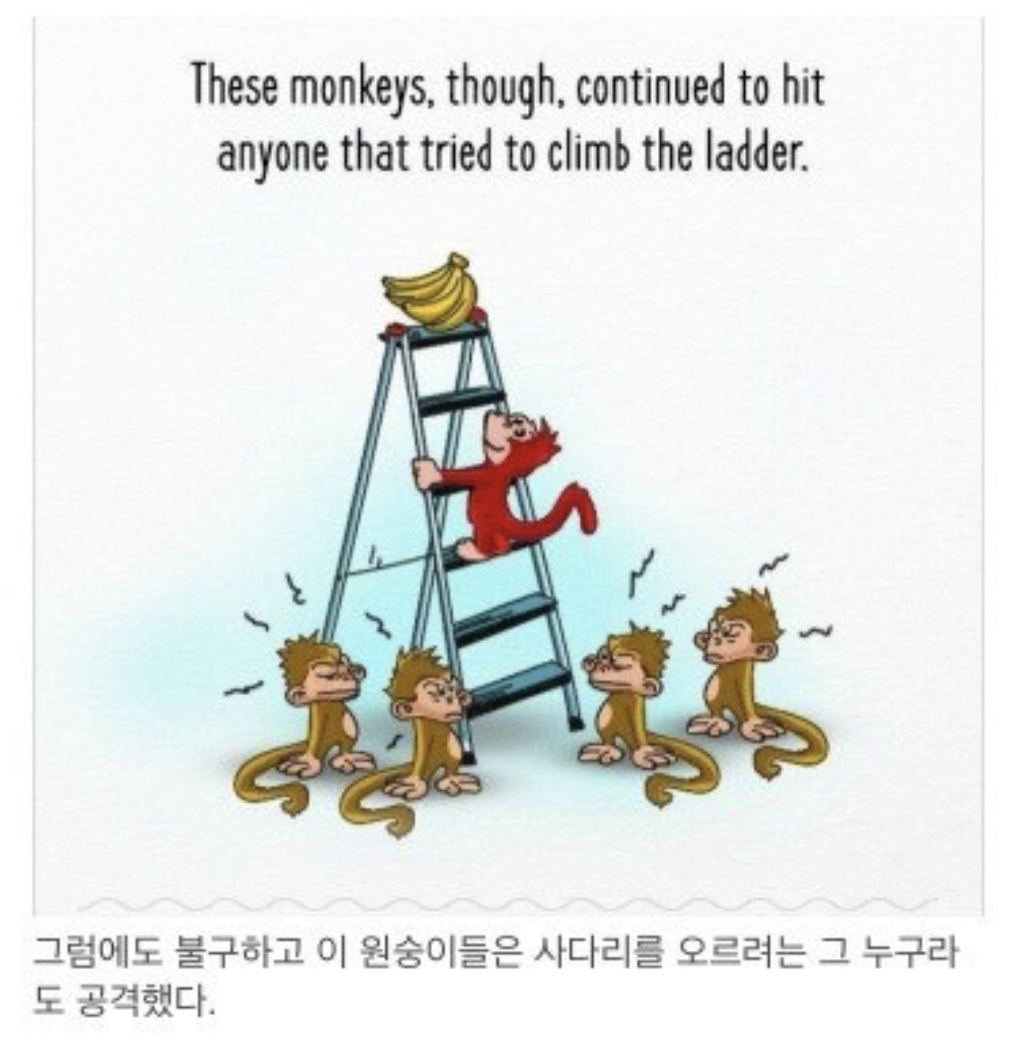 사회적 금기가 유지되는 과정.jpg | 인스티즈