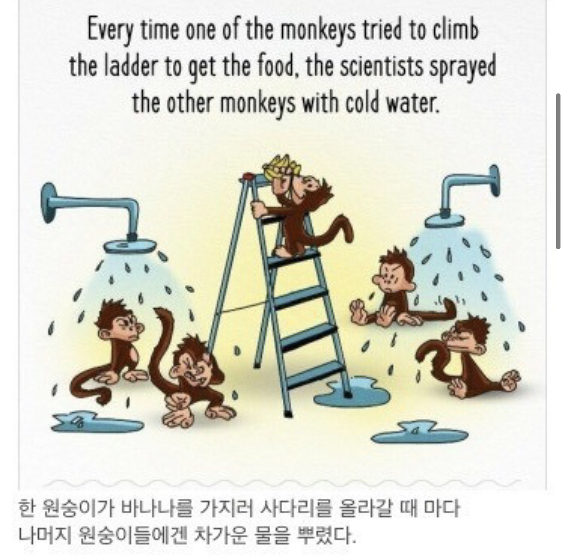 사회적 금기가 유지되는 과정.jpg | 인스티즈