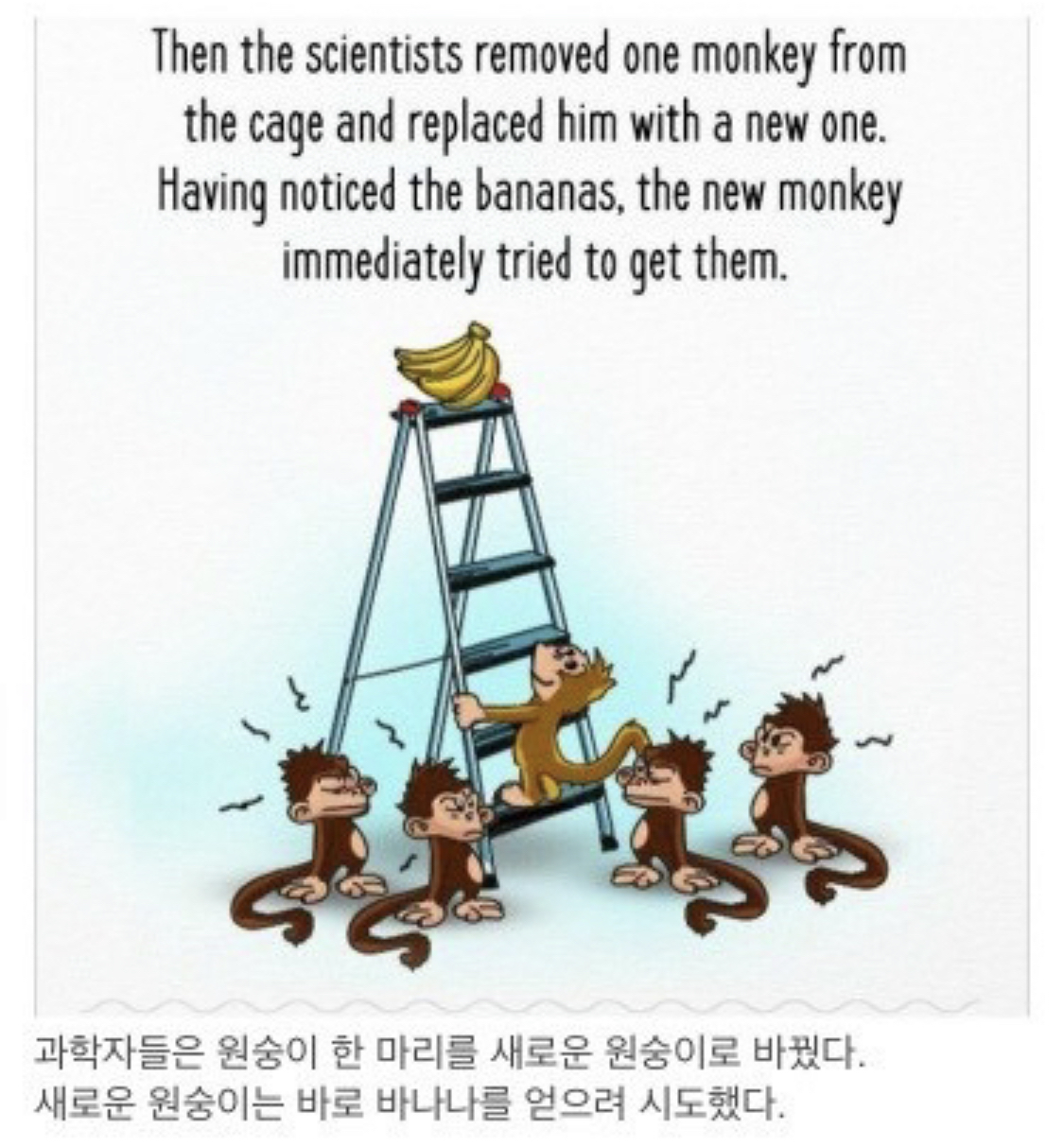 사회적 금기가 유지되는 과정.jpg | 인스티즈