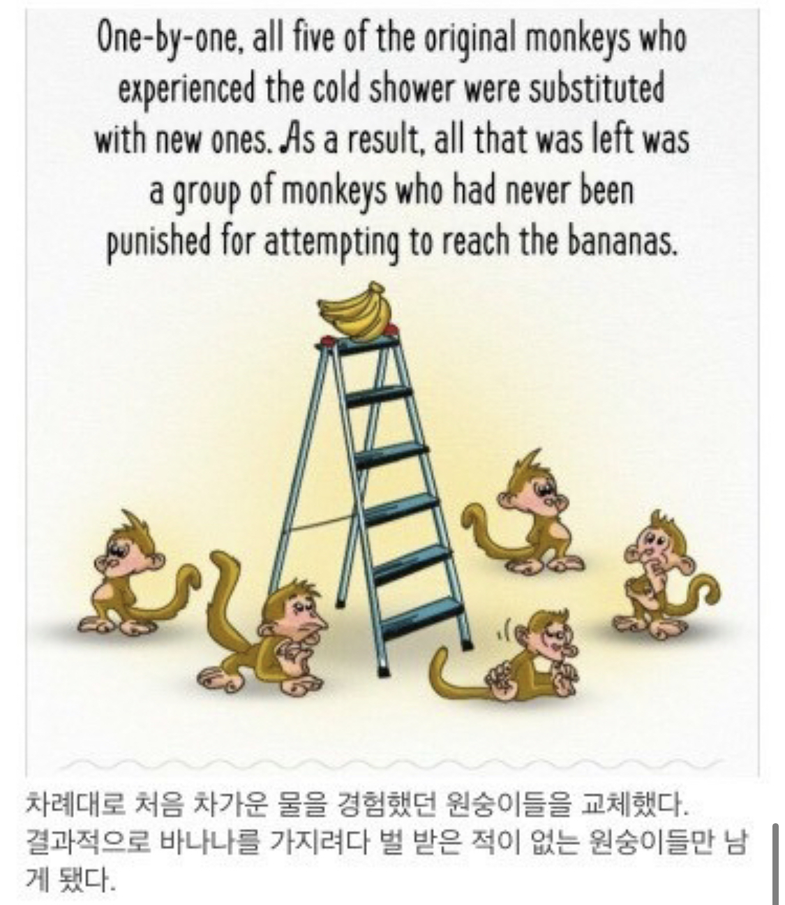 사회적 금기가 유지되는 과정.jpg | 인스티즈