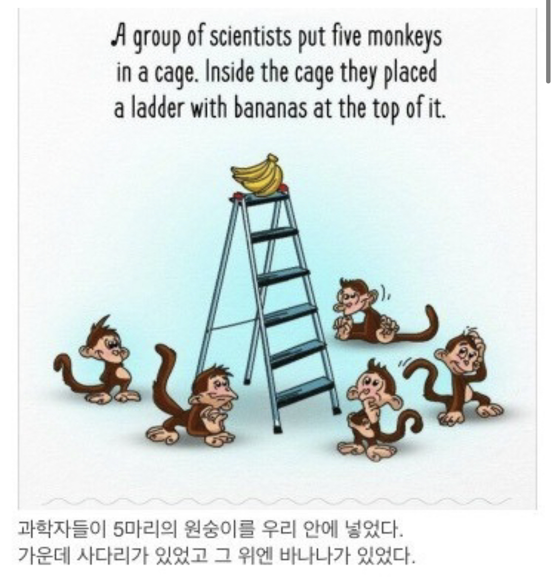 사회적 금기가 유지되는 과정.jpg | 인스티즈