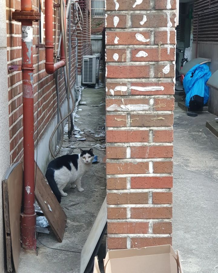사파리쉼터 이미지