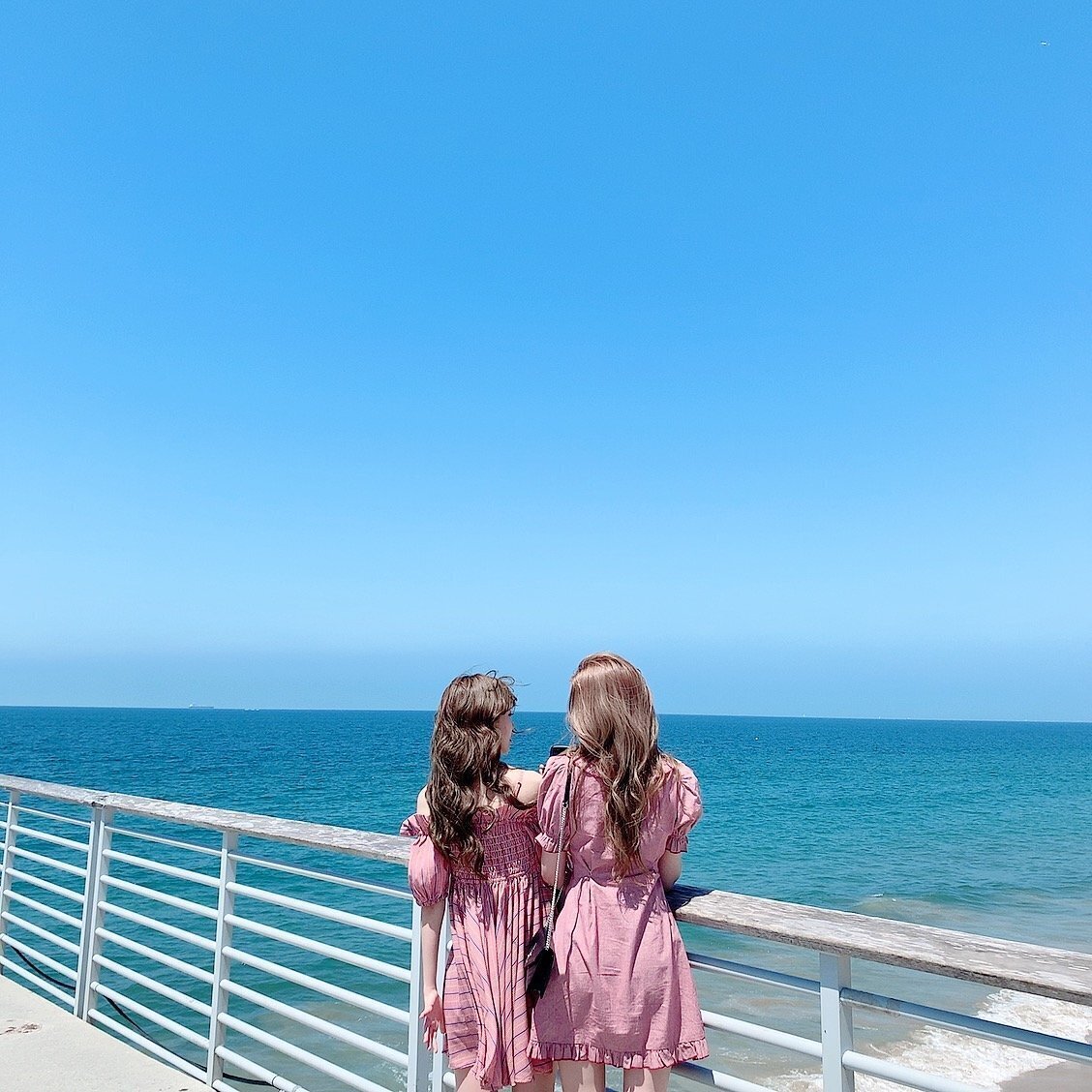 채원 이미지