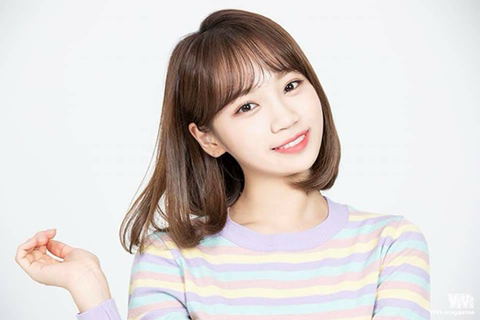 채원 이미지