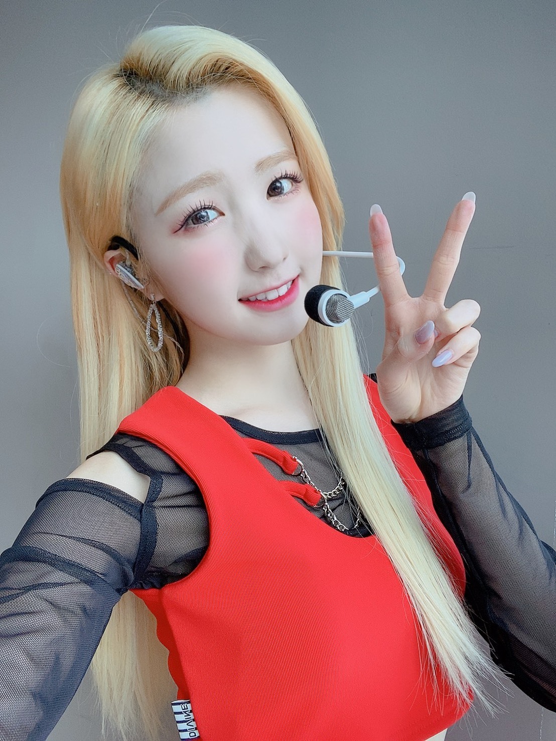 토미월드 이미지