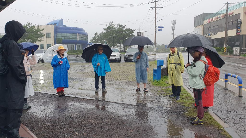 바이토산 이미지