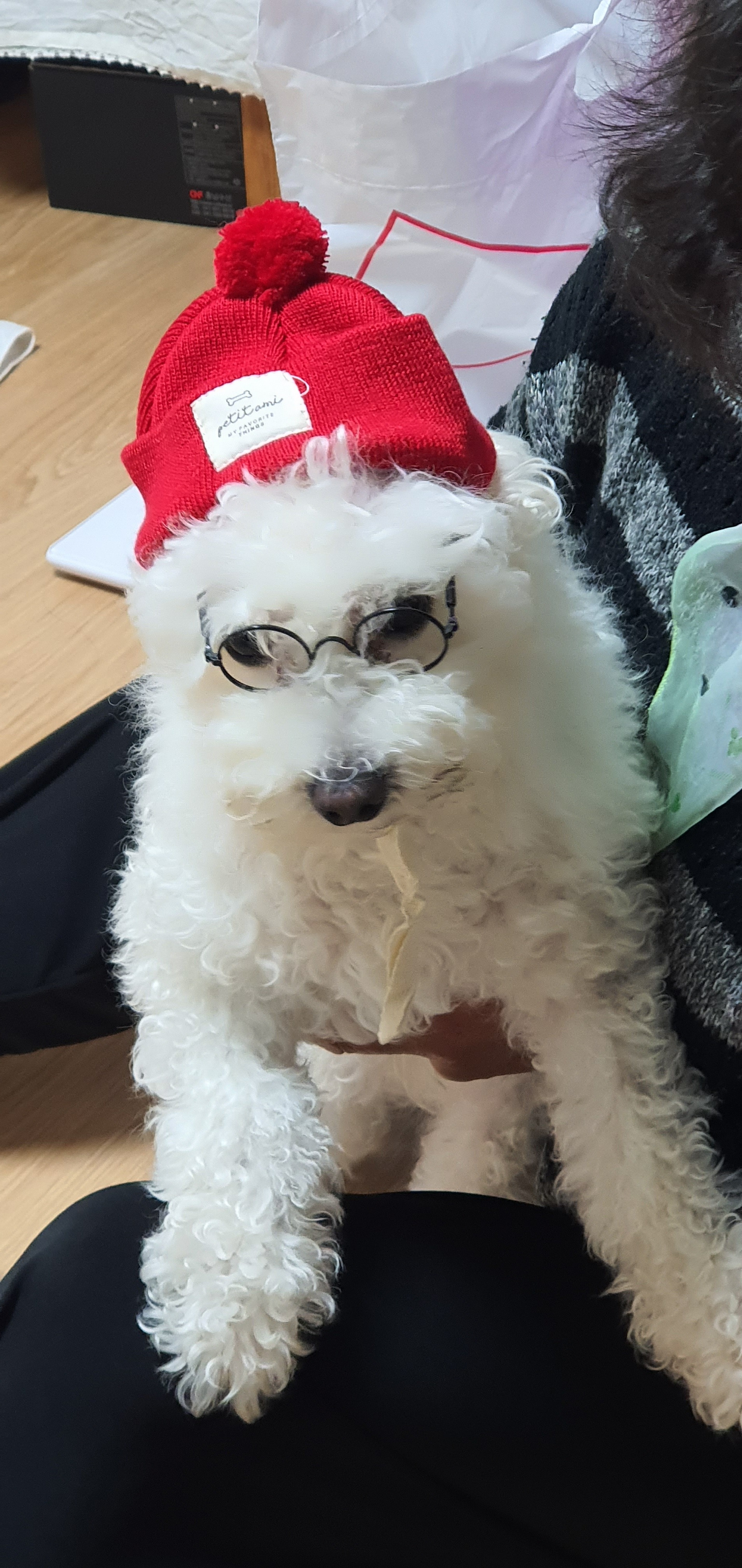 마스 이미지
