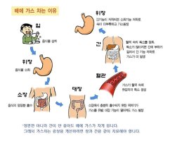 신선가스 이미지