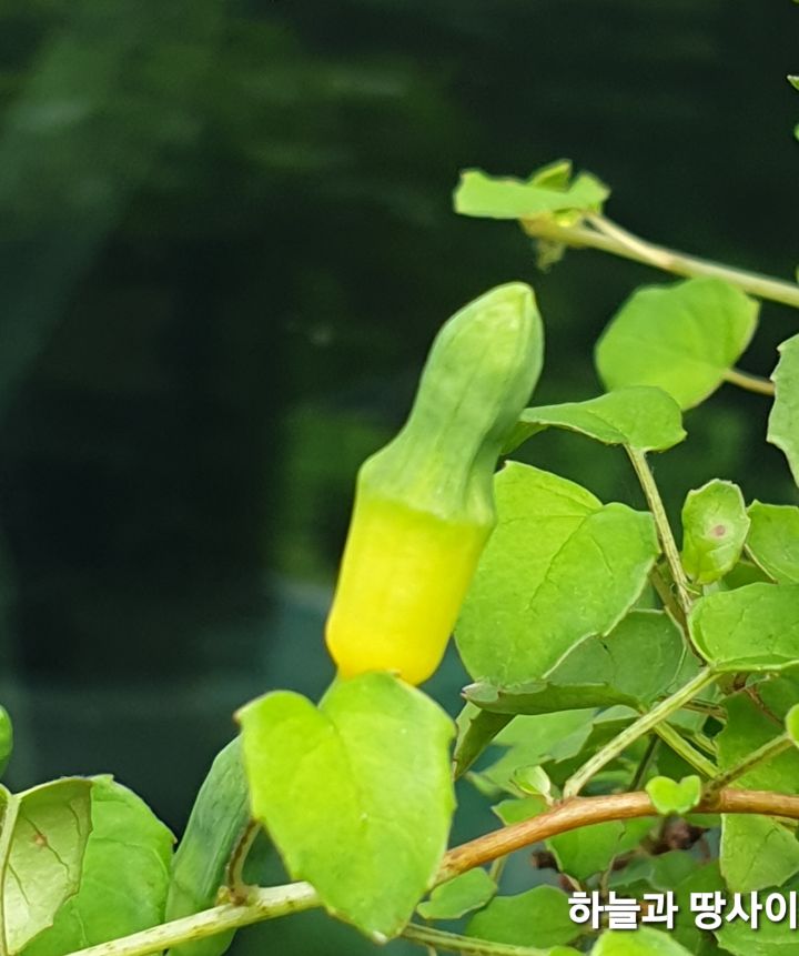 프로컴 이미지