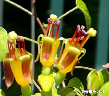 프로컴 이미지