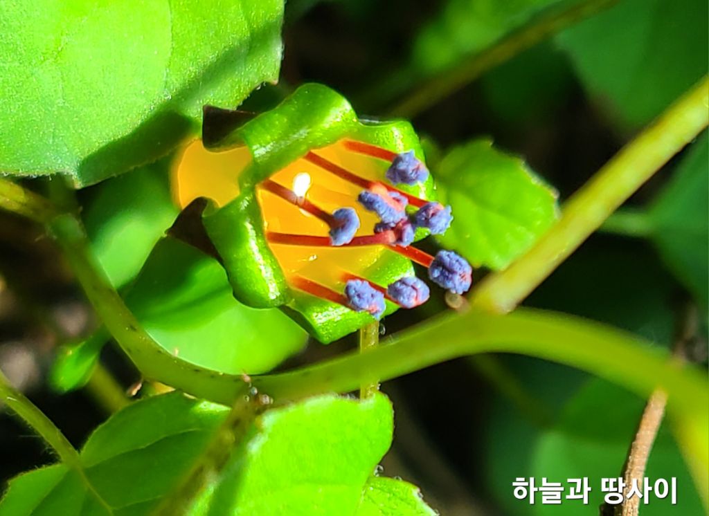 프로컴 이미지