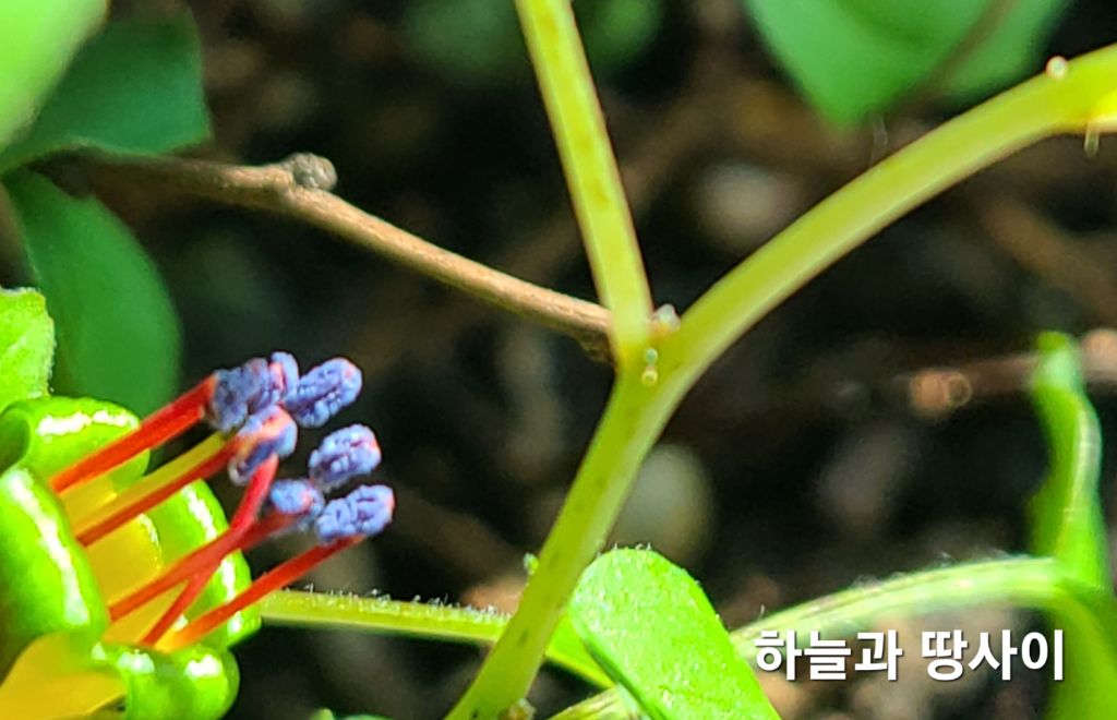 프로컴 이미지