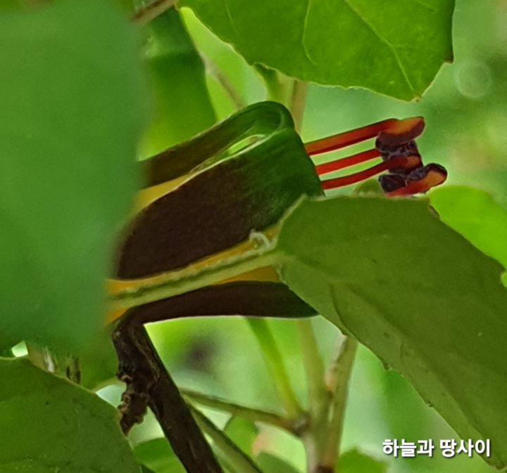 프로컴 이미지