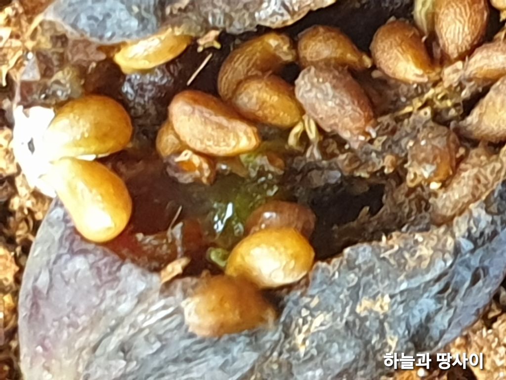 프로컴 이미지