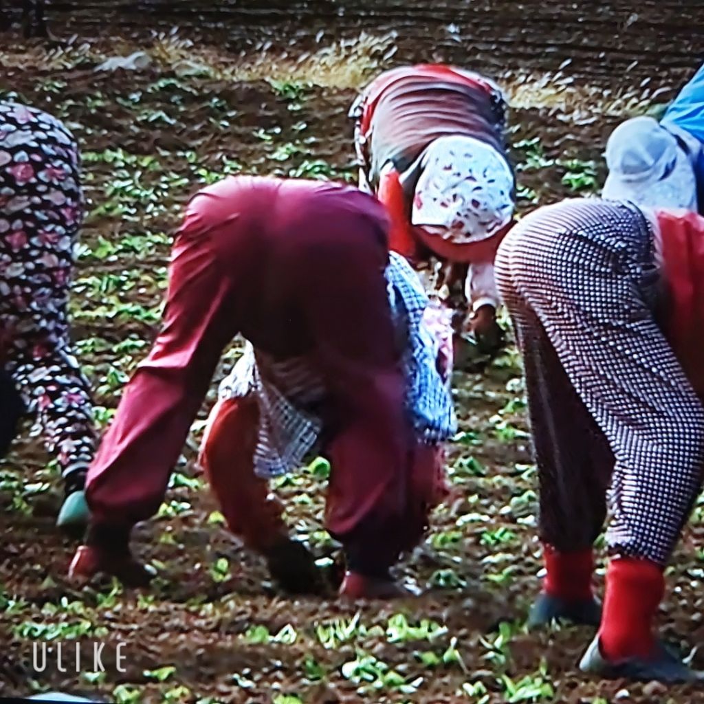 엄마의손맛 이미지