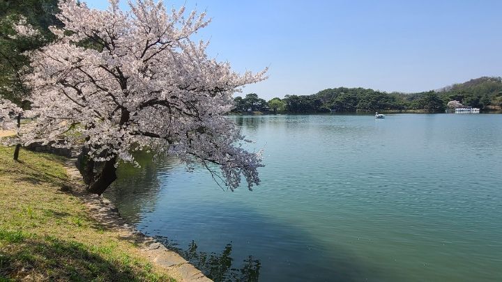 삼일월 이미지
