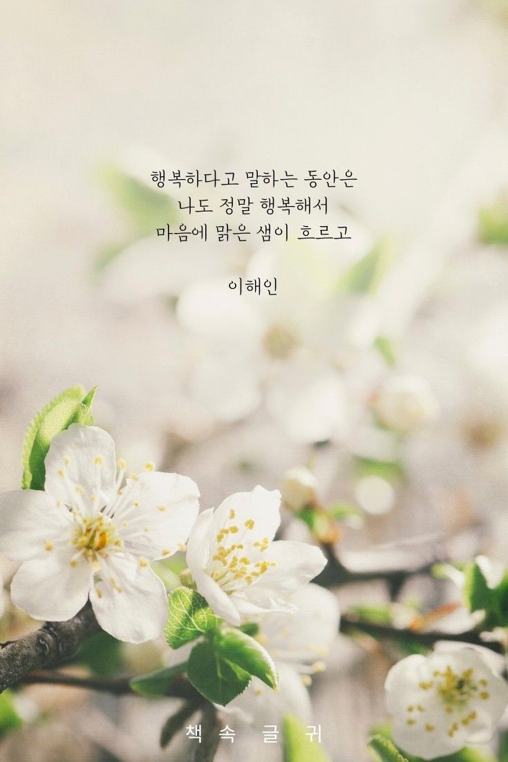 클라우드캔디 이미지