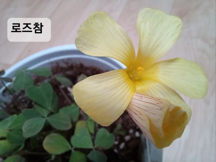 참나눔 이미지